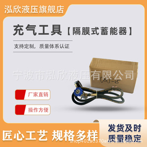Herramienta de Carga de Nitrógeno Hongxin M28 1.5, Conector de Acero, Inflador de Fluidos Hidráulicos - Product Image 2