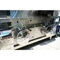 Pasteurisateur tunnel à capacité personnalisée, machine de stérilisation par pulvérisation d'eau chaude pour bouteilles en verre et canettes en aluminium de boissons