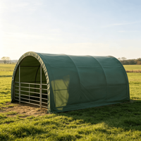 Enclos à poulets moderne 20x20 pieds avec structure en acier galvanisé, abri pour bétail en PVC/PE pour ferme