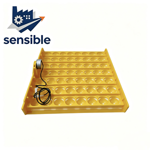 Assiette de 56 œufs - Product Image 4