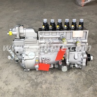 Venta Directa de Fábrica, Piezas de Motor Diésel, Bomba de Inyección de Combustible VG1246080097 para Sinotruk Howo