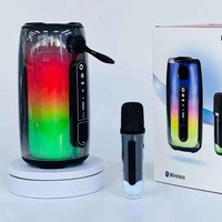 Nouvelle Enceinte Karaoké Portable Sans Fil 2026 avec Lumière LED RGB V5.3 et Batterie 1000-2000mAh pour Utilisation Extérieure et Cadeau