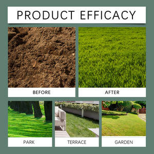 MOONSPRY Eco-Friendly Plastic Farmhouse Uso Diseño Moderno - Product Image 4