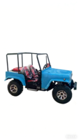 Véhicule électrique de style mini-jeep personnalisable en usine pour enfants et adultes, mini-jeep à essence ou électrique, buggy en vente