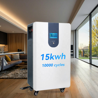 Batterie LiFePO4 certifiée CE UE, 15 kWh, 300 Ah, pour usage domestique, stockage d'énergie solaire, intégration fluide de l'onduleur, CAN, garantie 5 ans