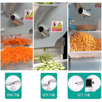 Multifunctionele commerciële industriële groente- en fruitsnijmachine voor bananenchips, aardappelchips, ui en appel.