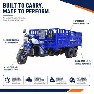 Triciclo Cargo Motorizzato ad Alte Prestazioni LURIKA, Tipo Open Body, Motore <span class=keywords><strong>a</strong></span> Benzina 111-150cc, Potenza 800W, Motociclo <span class=keywords><strong>a</strong></span> Tre <span class=keywords><strong>Ruote</strong></span> - Product Image 3
