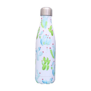 Cactus — bouteille à eau en acier inoxydable 500ml, sans BPA, design cactus, style américain et brésilien - Product Image 1