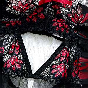 Ensemble de lingerie en dentelle pour <span class=keywords><strong>femme</strong></span>, broderie 3D, maille, robe babydoll, camisole <span class=keywords><strong>push</strong></span>-<span class=keywords><strong>up</strong></span>, <span class=keywords><strong>nuisette</strong></span> transparente sexy, string - Product Image 3