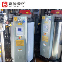 Chaudière à vapeur à gaz à circulation naturelle verticale automatique basse pression efficace avec acier inoxydable pour la maison et le restaurant