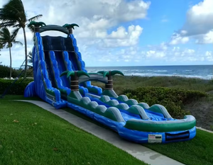 Toboggan gonflable Monsoon <span class=keywords><strong>à</strong></span> double voie 30 pieds de haut <span class=keywords><strong>Château</strong></span> gonflable Monsoon <span class=keywords><strong>à</strong></span> <span class=keywords><strong>vendre</strong></span> - Product Image 2