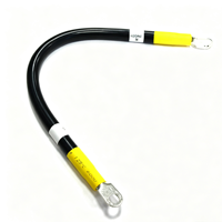 Harnais de batterie double fil robuste sur mesure avec borne à barillet ouvert, câble de démarrage haute intensité pour contrôle DC industriel