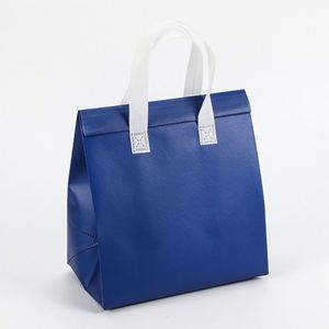 Wholesale Fashionable Durable Pouch Tote Promotional Aluminium Foil Lunch Cake Food Insulated Pp Non Woven Cooler Bag - Product Image 1