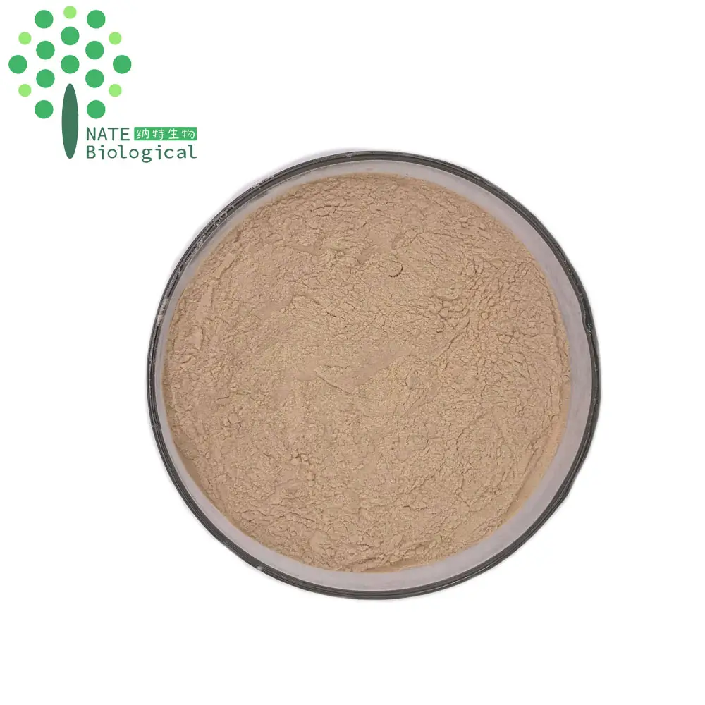 Bulk Natural garlic extract allicin powder 1%,2%, 5%