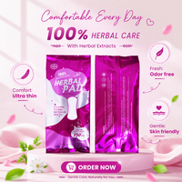 Prix d'usine – Lot de 10 serviettes hygiéniques à base de plantes de 180 mm pour femmes, avec contrôle des odeurs et soulagement des démangeaisons