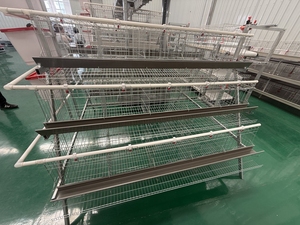 Sistema Moderno de Jaulas Automáticas para la Producción de Huevos de Aves de Corral, Jaula para Pollos - Product Image 4