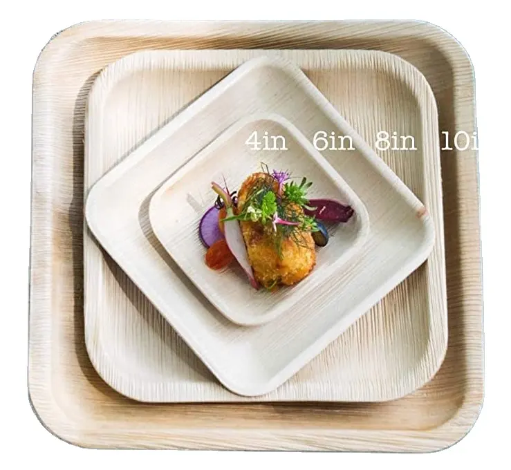 Disposable Tableware 10 Inch Palm Leaf Plates Sturdy and Eco-Friendly Platters Decorative Compostable Dinnerware