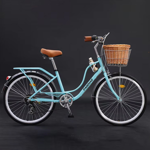 Vélo de ville utilitaire pour femme 2025 – Qualité supérieure – Prix usine - Product Image 5