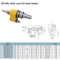 Mandrin de fraisage à refroidissement interne CNC robuste BT50 BT40 OSL à verrouillage latéral avec support de trou d'huile et queue Weldon