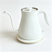 Bouilloire électrique de 0,8 L avec contrôle de la température, portable, en acier inoxydable 304, chauffe-eau avec fonction d'arrêt automatique, pour usage domestique