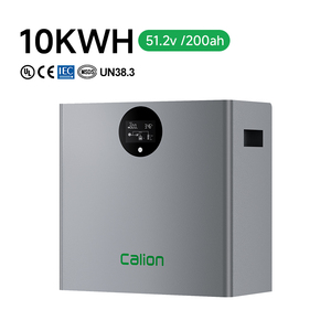 Module de batterie mural empilable 10 kWh 51,2 V 200 Ah, prise en charge parallèle jusqu'à 16 unités pour l'alimentation de secours domestique - Product Image 6