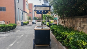 Chariot de vente de crème glacé<span class=keywords><strong>e</strong></span> <span class=keywords><strong>E</strong></span>-Tuk Tuk, chariots de crème glacé<span class=keywords><strong>e</strong></span> réfrigérés - Product Image 4