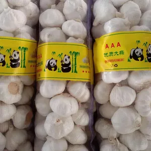 مصنع ajo سعر منخفض محصول آيل أرجواني صيني نقي بسعر الجملة مورد مصدر ثوم طازج