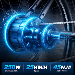 Vélo électrique TWOFISH TF-1 avec freins à disque, stock UK, 250W, 36V, 15Ah, 26 pouces, 25 km/h, autonomie maximale de 100 km - Product Image 2