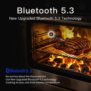 2025 नई उत्पाद एकल जांच खाना पकाने और फ्राइंग के लिए ip67 वाटरप्रूफ वायरलेस मीट थर्मामीटर के साथ उत्पाद एकल जांच - Product Image 4
