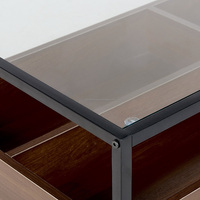 Table de salon au design simple avec plateau en verre trempé et base en métal, table basse en bois avec rangement