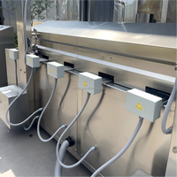Volledig automatische productielijn voor hoogproductieve commerciële frites en aardappelchips
