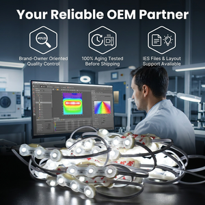 Module de lentille optique LED 170 degrés 12V alimenté par Samsung pour enseignes lumineuses rétroéclairées, module d'éclairage de panneau signalétique OEM - Product Image 1