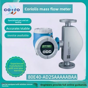 EH Quality Intelligent Pipeline Integrated <b>Flow</b> <b>Meter</b> Gas Natural High Sensor 80E Carbon Steel 80E40-AD2SAAAAABAA High Precision - Product Image 4