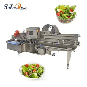 SDLEADING commercial vegetable wash machine for lettuce celery