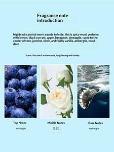 <span class=keywords><strong>Armaf</strong></span> Ammaf Oriente Medio Emiratos Árabes Unidos Perfume Líquido Napoleón Ping Tono Oriental Amaderado para Hombre Tamaño Viaje 100ML - Product Image 2