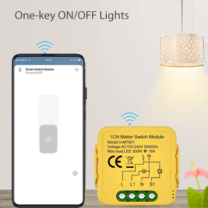 โมดูลสวิตช์รีเลย์ไฟ DIY ODM Matter สวิตช์รีเลย์ไฟทำงานร่วมกับ Apple Home,Siri,Alexa,Google Home, <span class=keywords><strong>smartthings</strong></span>, ewelink - Product Image 4