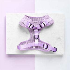 Ensemble laisse et harnais pour chien avec logo personnalisé, gilet réglable anti-traction pour animaux de compagnie avec nœud papillon et porte-sac à déjections, pour chiens de petite et moyenne taille - Product Image 2