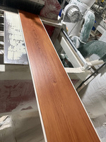 Placas de Techo de PVC Duraderas de 250 mm x 8 mm, Antimoho, Resistentes a la Humedad, para Proyectos Comerciales, Precio al por Mayor, Proveedor Profesional