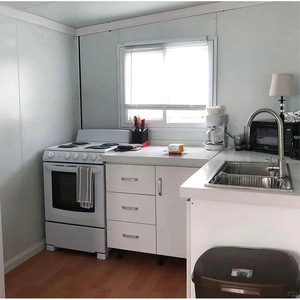 Fabricant de conteneurs extensibles pliables de 40 pieds à bas prix pour maison de 5 pièces avec revêtement mural en briques - Product Image 3