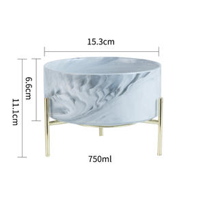 Ikitchen 2022 hayvan mama kabı beyaz seramik köpek kasesi Metal tutucu ile lüks yavaş besleyici seramik kedi köpek kase toptan özel - Product Image 6