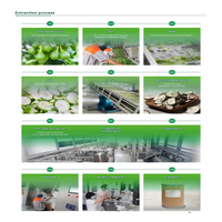 Chemisch vrij geëxtraheerd voedingskwaliteit naringine fruitextract natuurlijk poeder 95%-98% voor nutraceutica HACCP in trommelverpakking