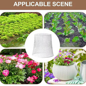 Protector de Hierro Reutilizable para Vegetales, para Invernadero, Trasplante de Plántulas, Protector de Plantas de Hierro - Product Image 3