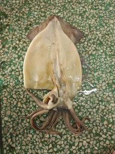 Đông lạnh khổng lồ mực cắt phi lê Chất lượng cao và giá tốt khổng lồ mực cắt PHI LÊ - Product Image 3