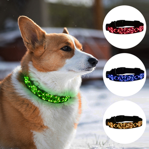 Venta al por mayor accesorios de entrenamiento suministros para mascotas <span class=keywords><strong>collar</strong></span> de perro <span class=keywords><strong>LED</strong></span> colorido - Product Image 3