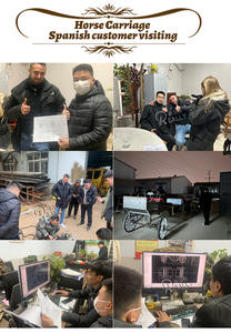 Carrito de caballo real eléctrico de cuatro ruedas, carrito de caballo de lujo OEM, se puede personalizar el Color y el logotipo - Product Image 4