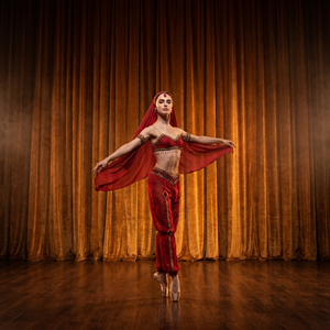 Traje de Ballet de 2 Piezas con Personajes Árabes, Le Corsaire, para Actuaciones Escénicas, Estilo Oriental Exótico para La Bayadère - Product Image 3
