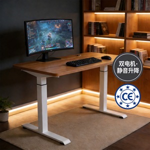 Escritorio de Computadora Eléctrico de Altura Ajustable, Escritorio de Pie con Doble Motor, Escritorio de Oficina para Juegos, Marco de Metal con Recubrimiento en Polvo, Certificado CE - Product Image 1