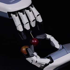 Dexrobot, Brazo Robótico Humanoide de Cinco Dedos, Mano Diestra, Automatización, Investigación de Laboratorio, Entrenamiento de Manos, Dexrobot Dexhand021 Pro - Product Image 2