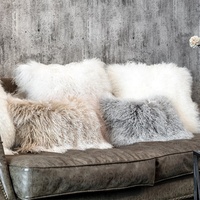 Coussin de sol de luxe doux et confortable, décoration de la maison, garniture d'oreiller en fourrure d'agneau, oreillers en fourrure mongole douce