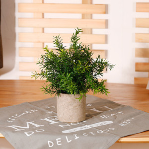 A-490人工植物鉢植えの偽物家の装飾のためのミニ植物 - Product Image 2